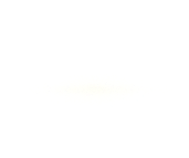 button top shining effect